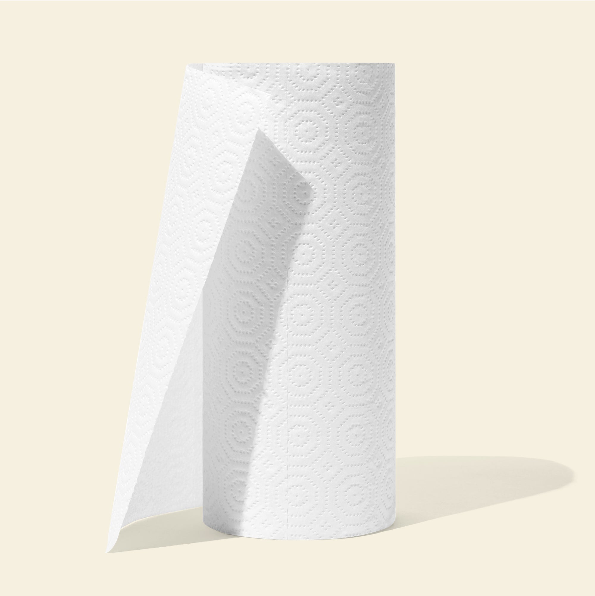 100% Recycled Paper Towels
